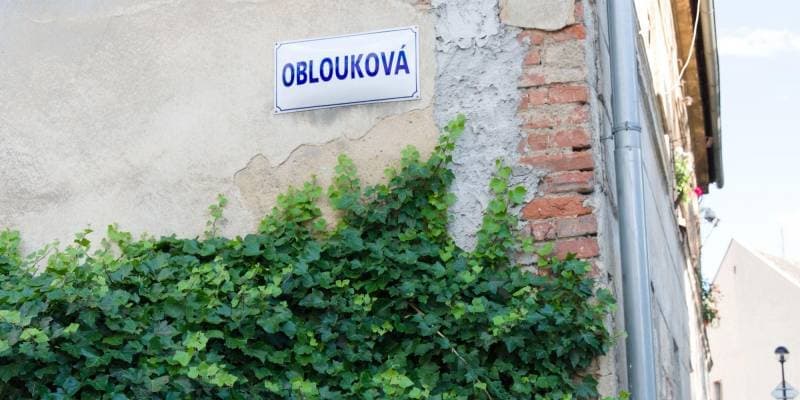 Cedule s názvem "Oblouková" na staré omítkové zdi s částečně odhalenými cihlami, porostlá zeleným břečťanem.